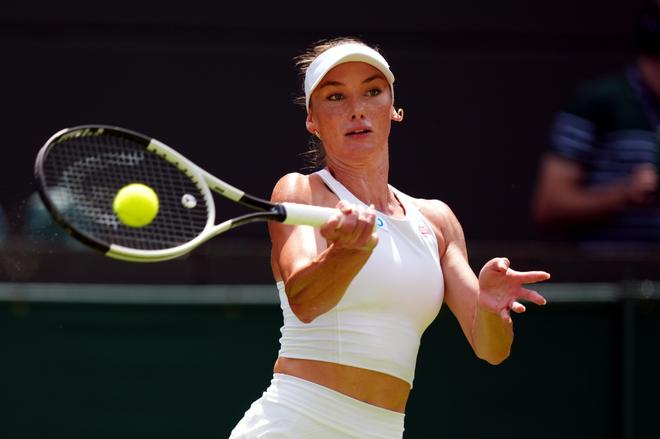 略布局的浓 略布局的浓